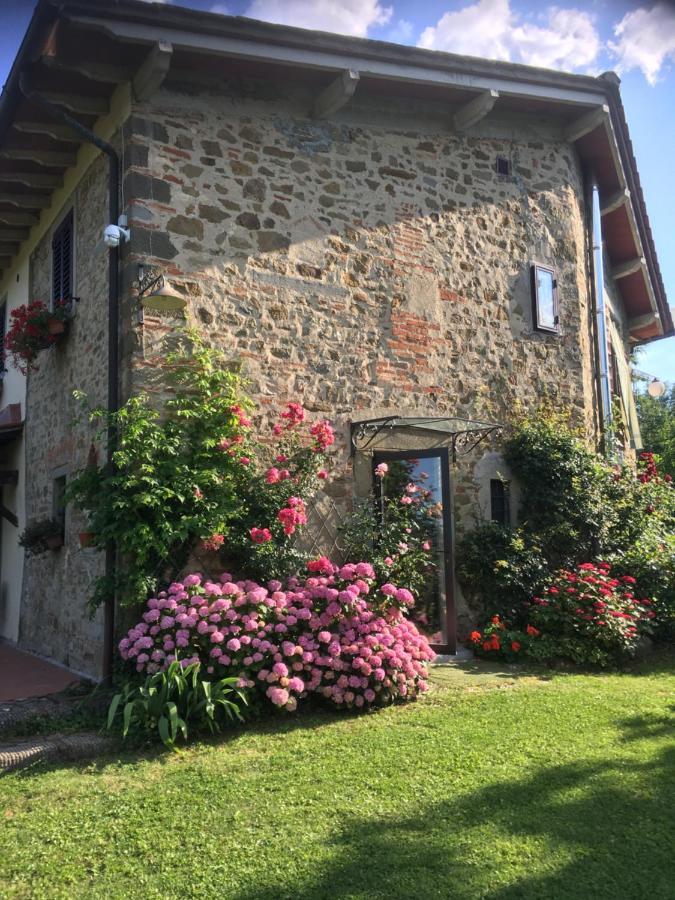 Il Mugello B&B Vicchio Eksteriør billede