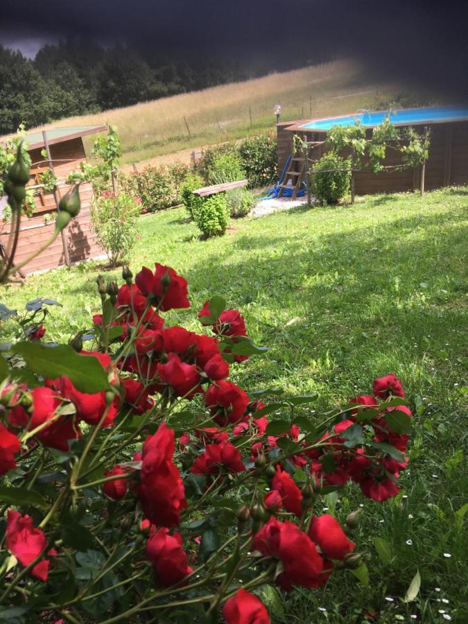 Il Mugello B&B Vicchio Eksteriør billede