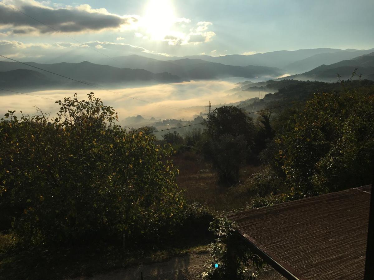 Il Mugello B&B Vicchio Eksteriør billede