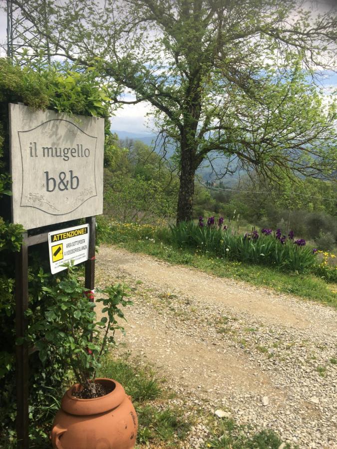 Il Mugello B&B Vicchio Eksteriør billede