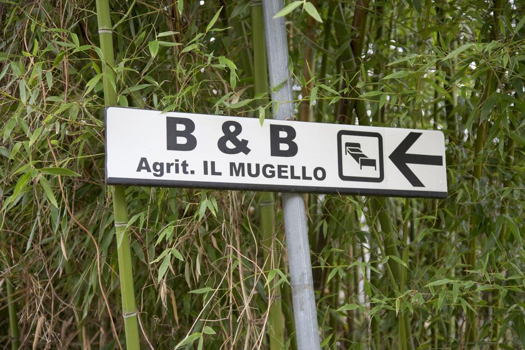 Il Mugello B&B Vicchio Eksteriør billede
