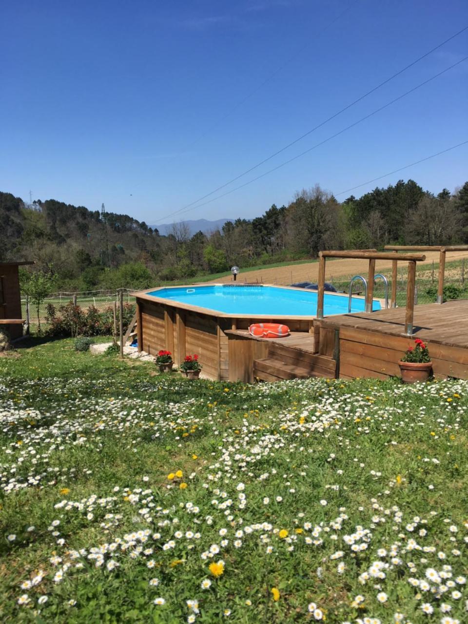 Il Mugello B&B Vicchio Eksteriør billede