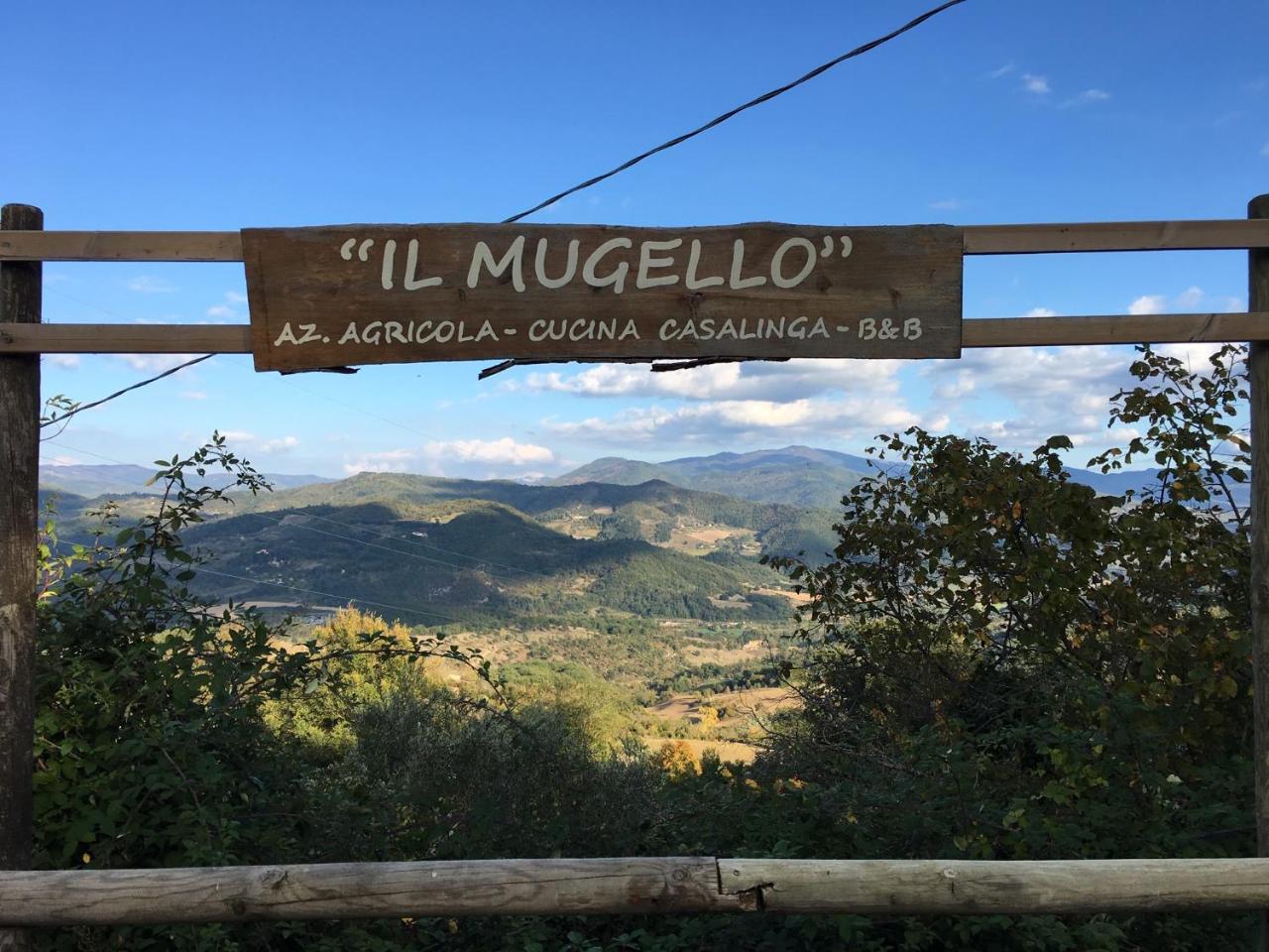Il Mugello B&B Vicchio Eksteriør billede